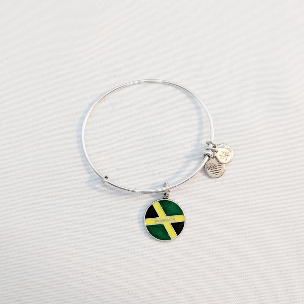 Alex and Ani Silver Jamaica Charm Bracelet - Picture 2 of 7